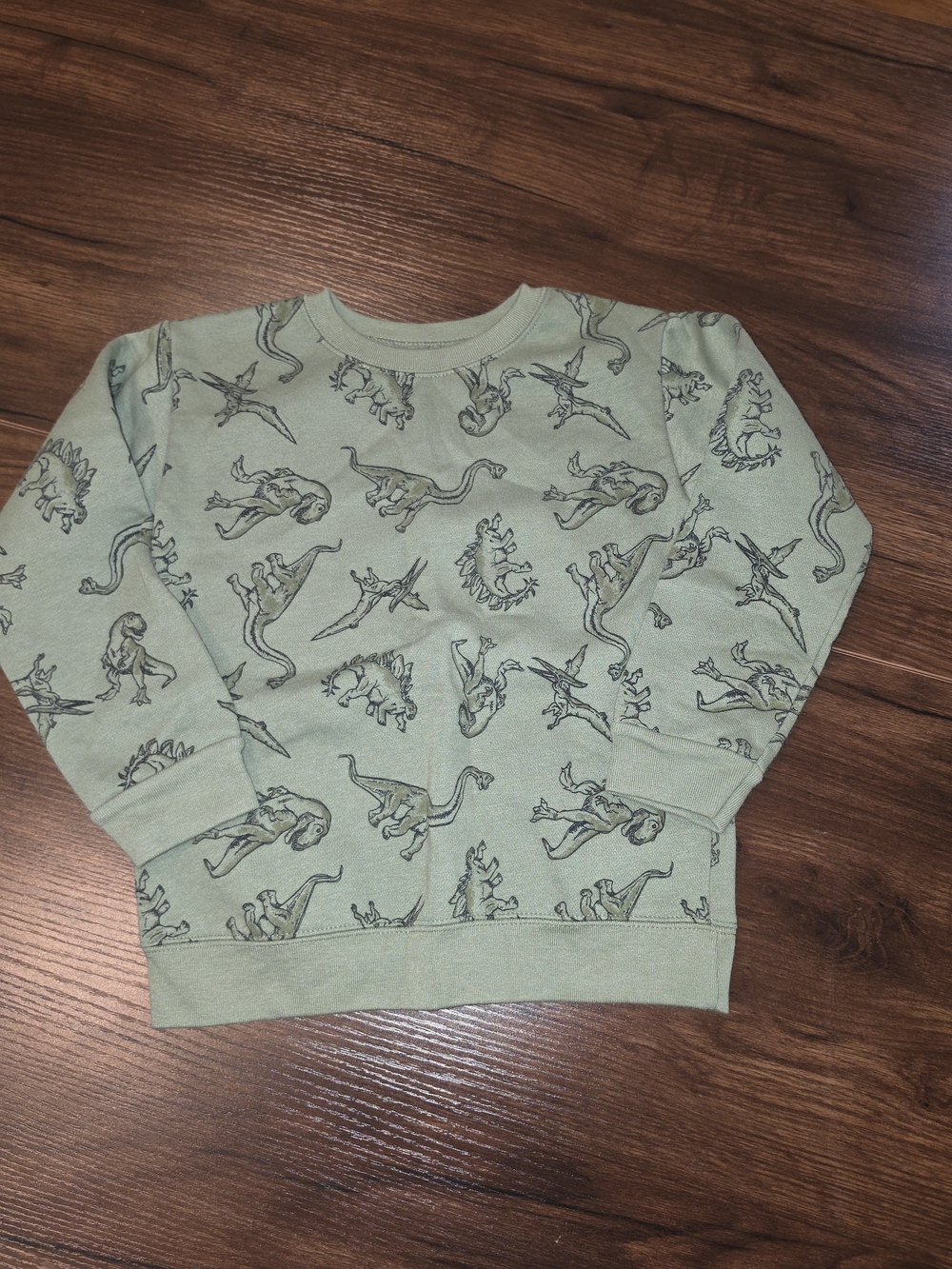 Garanimals Sage Green Dinosaur Crewneck Sweatshirt